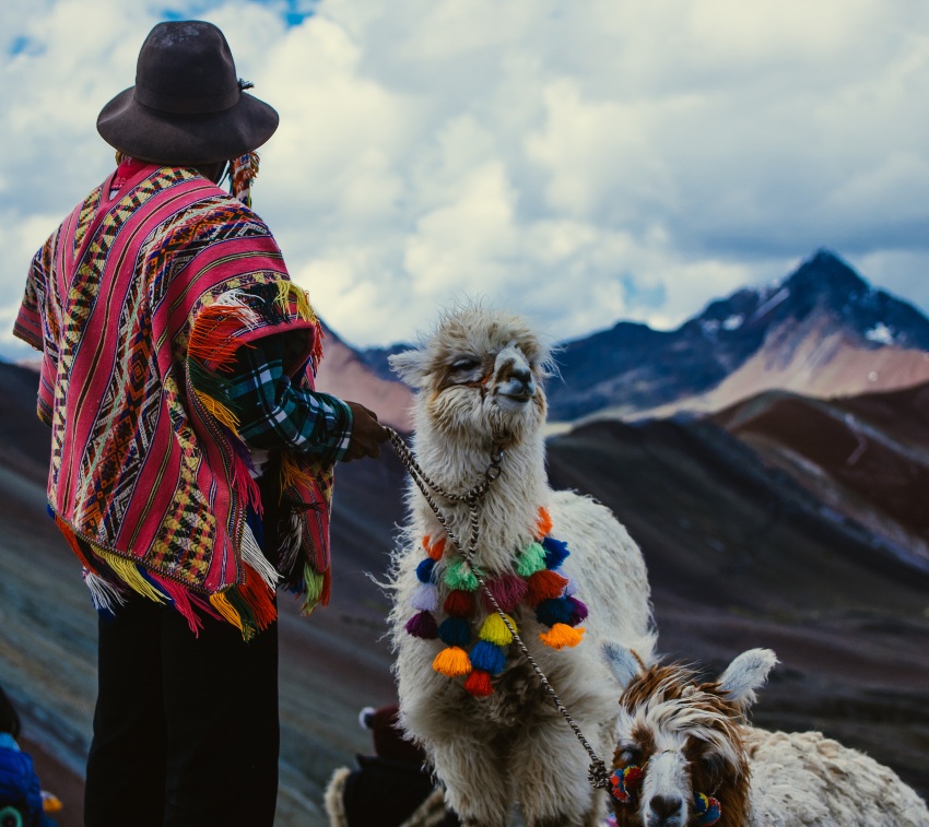 Peruaner im Poncho mit Alpakas als Begleitung - Alpakahaar
